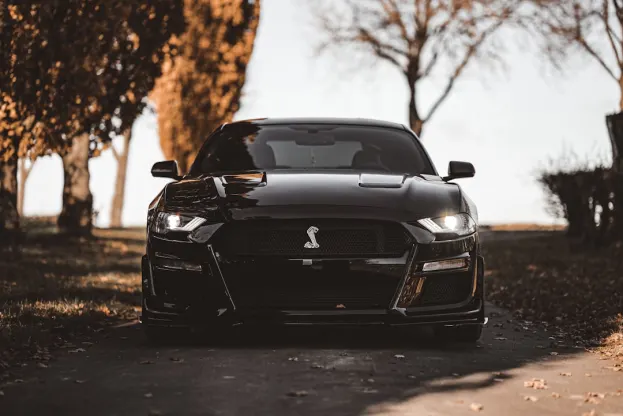 Ripper Kasyno Aplikacja Android/iOS